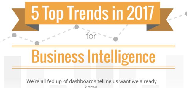 Top 5 Business Intelligence Trends 2017 [Infographic]